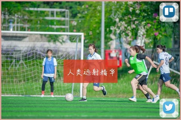 人类远射精华