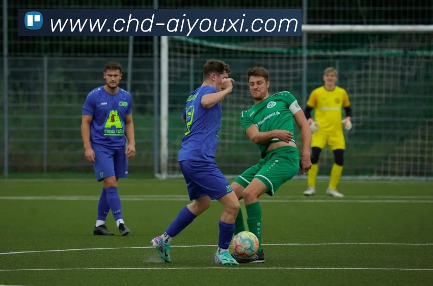 爱游戏app服务体系